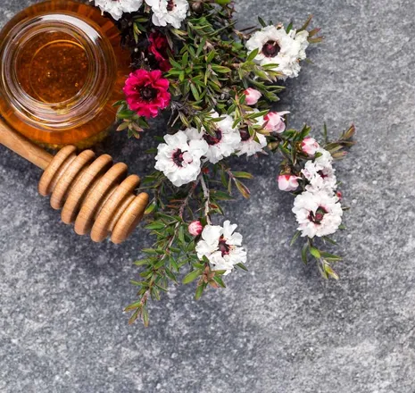 Manuka slatka "laboratorija"